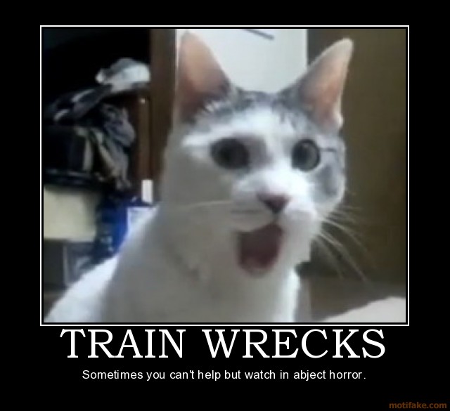 train-wrecks-omg-cat-demotivational-poster-1275680086.jpg