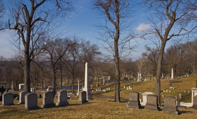 Allegheny_Cemetery_2008_hills